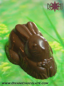 Raspberry Honey Bunny™ in Belgian Dark, Milk or White Chocolate - Divani Chocolatier in Foxburg, Pennsylvania