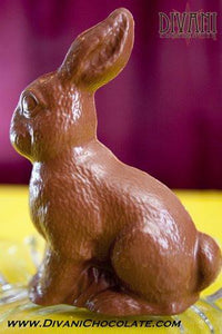 Bunny Silhouette in Belgian Dark, Milk or White Chocolate - Divani Chocolatier in Foxburg, Pennsylvania