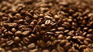 Organic & Fair-Trade Mexican Coffee Whole Beans Medium Roast - Divani Chocolatier in Foxburg, Pennsylvania