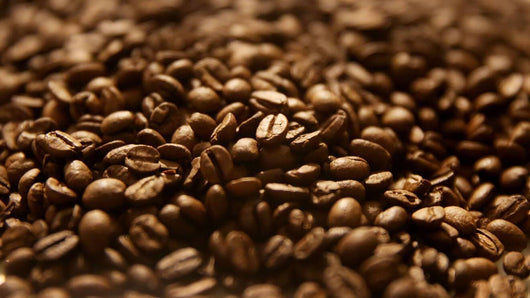 Organic & Fair-Trade Papua New Guinea Coffee Whole Beans Medium Roast - Divani Chocolatier in Foxburg, Pennsylvania